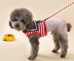 Stripe Harness with matching leash