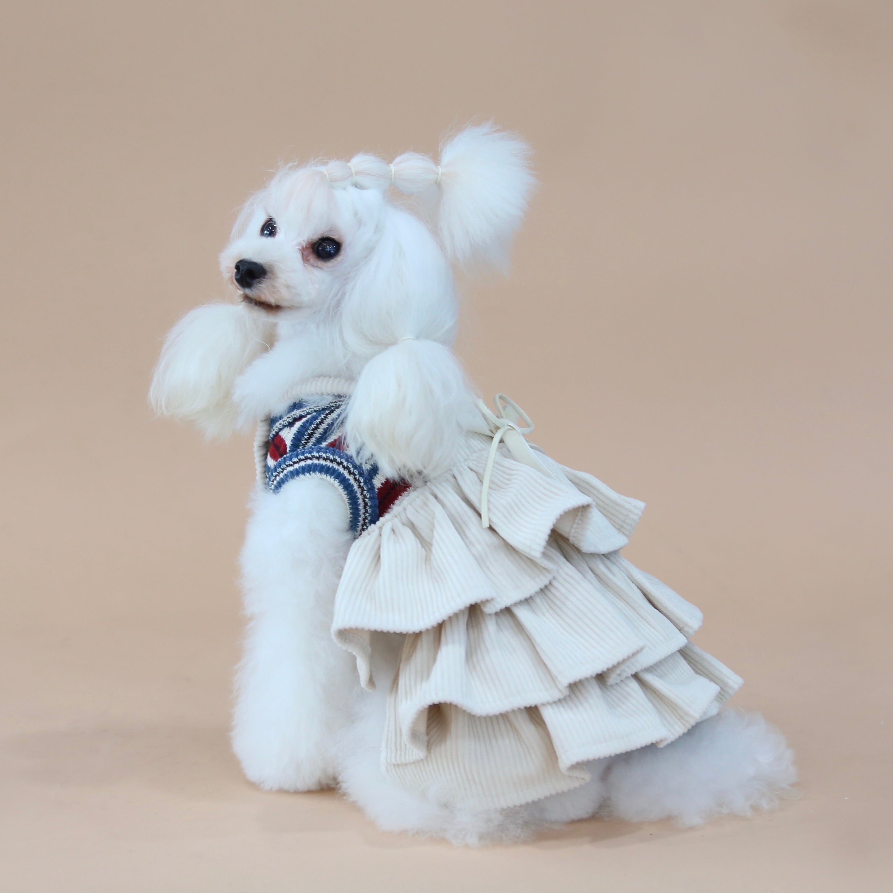 Corduroy Dog Dress | Shop Designer Dog Clothes – TeaCups, Puppies