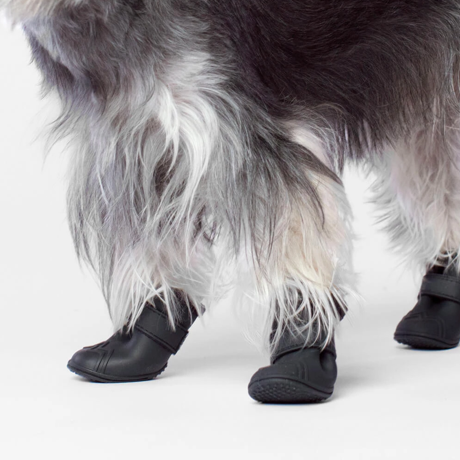 wellies dog boots