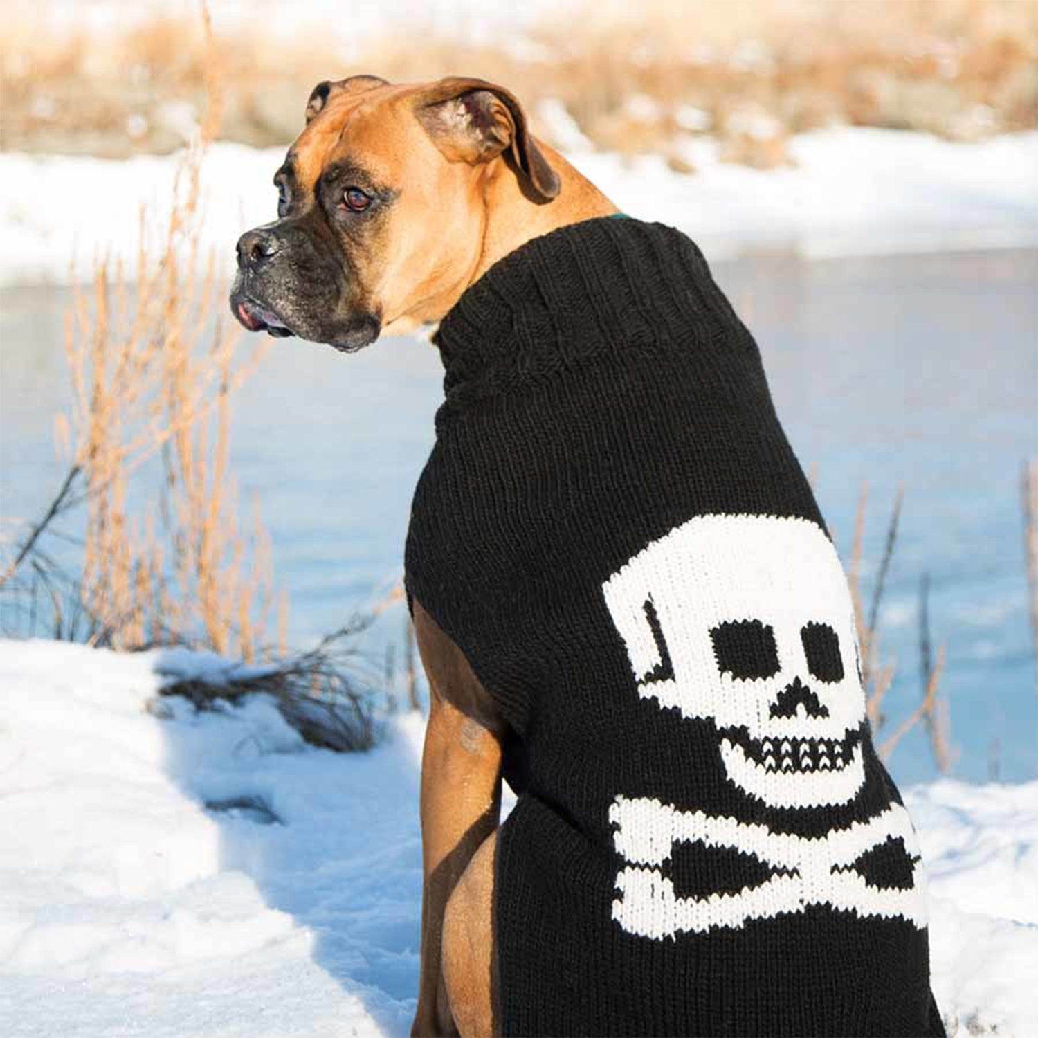 skull cashmere dog sweater