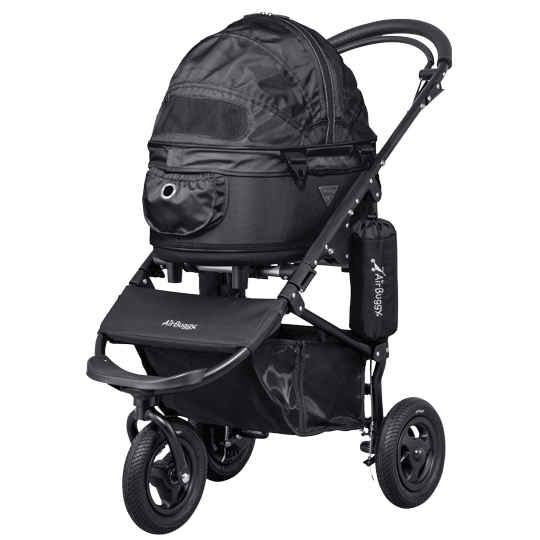 black dog stroller