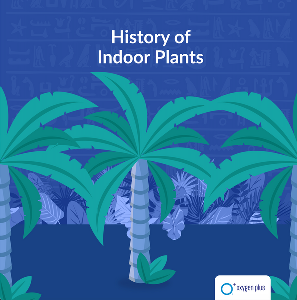 History of indoor plants