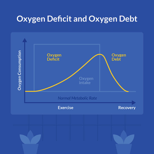 oxygen deficit vs oxygen debt