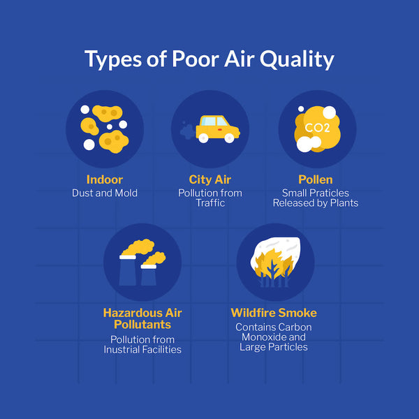 types of poor air quality