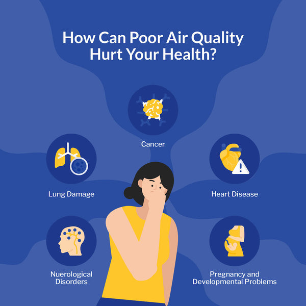 how can air quality impact your health?