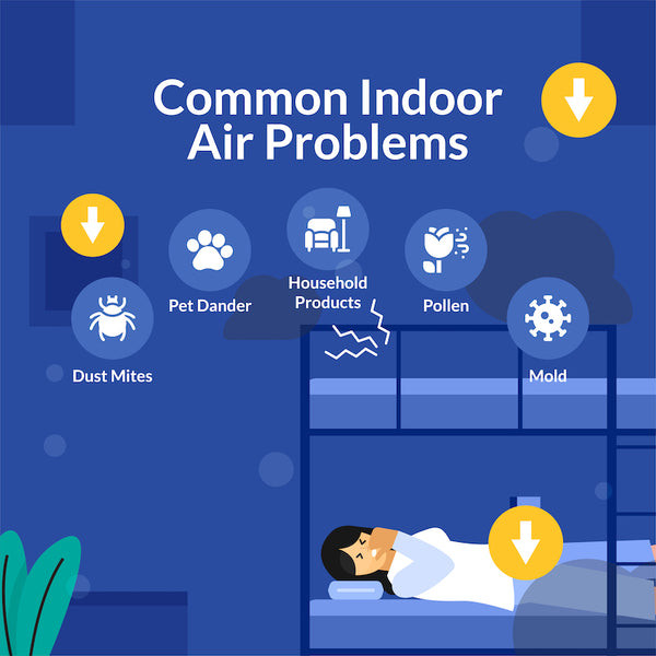 Common indoor air problems