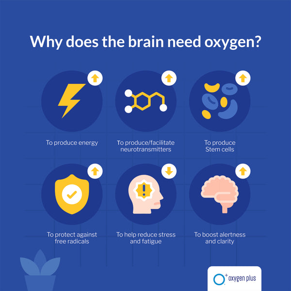 why does the brain need oxygen?
