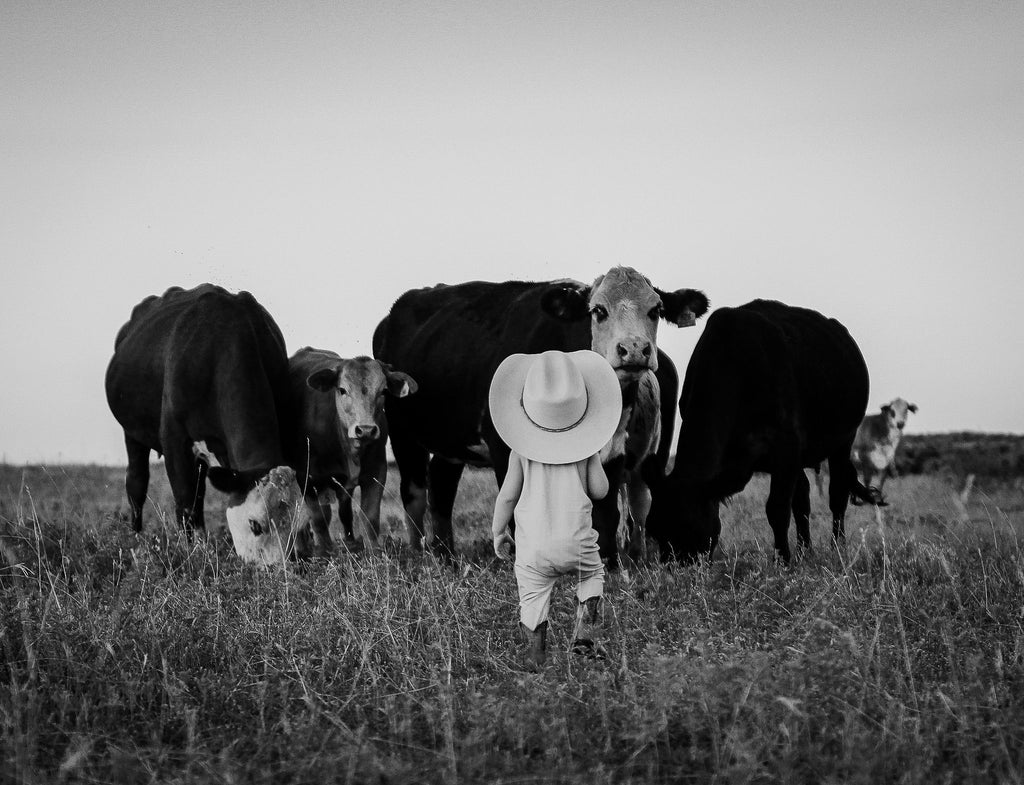 boy wearing overalls and cowboy hat walking towards a group of cattle