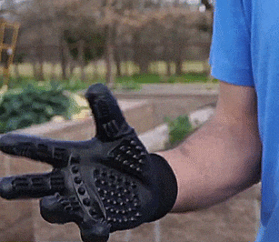 Dog Brush Glove
