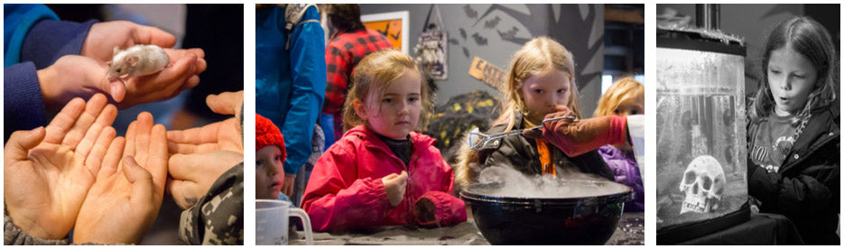 Halloween at Britannia Mine Museum