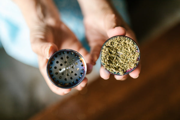 a woman holding a grinder with CBD and Marijuana