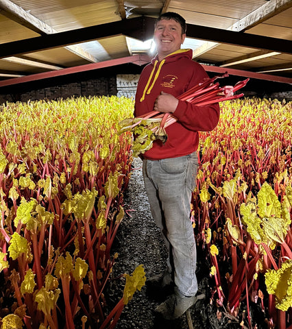 Yorkshire Forced Rhubarb Farmer Robert Tomlinson