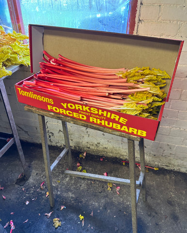 Robert Tomlinson Yorkshire Forced Harbinger Rhubarb