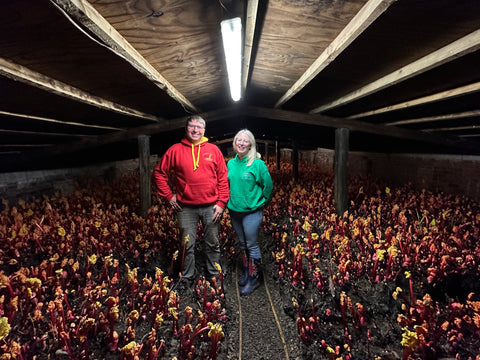 Yorkshire Forced Rhubarb Farmer Robert Tomlinson and Nicola Simons