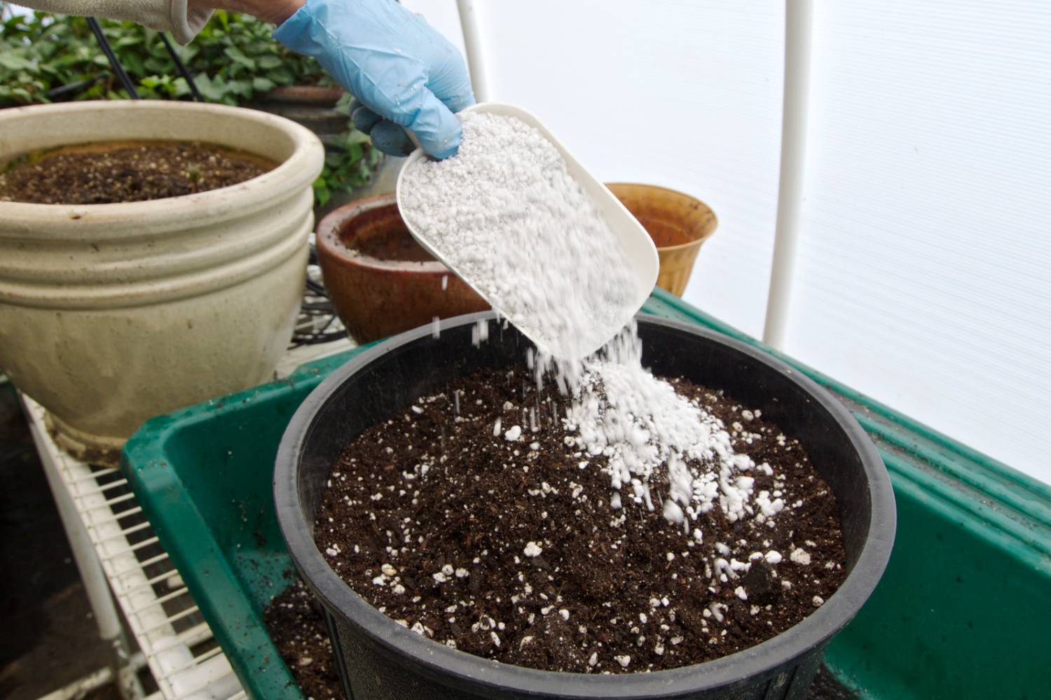 Cash Crop & Pay Dirt Potting Soil, Plant Nutrients