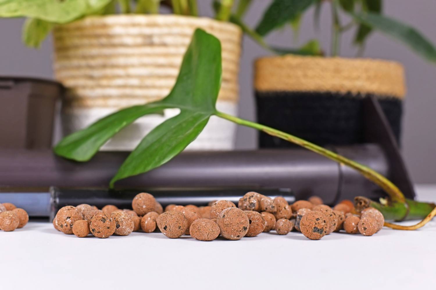 Quality Hydroponic Medium: Discover Clay Pebbles for Indoor Gardening