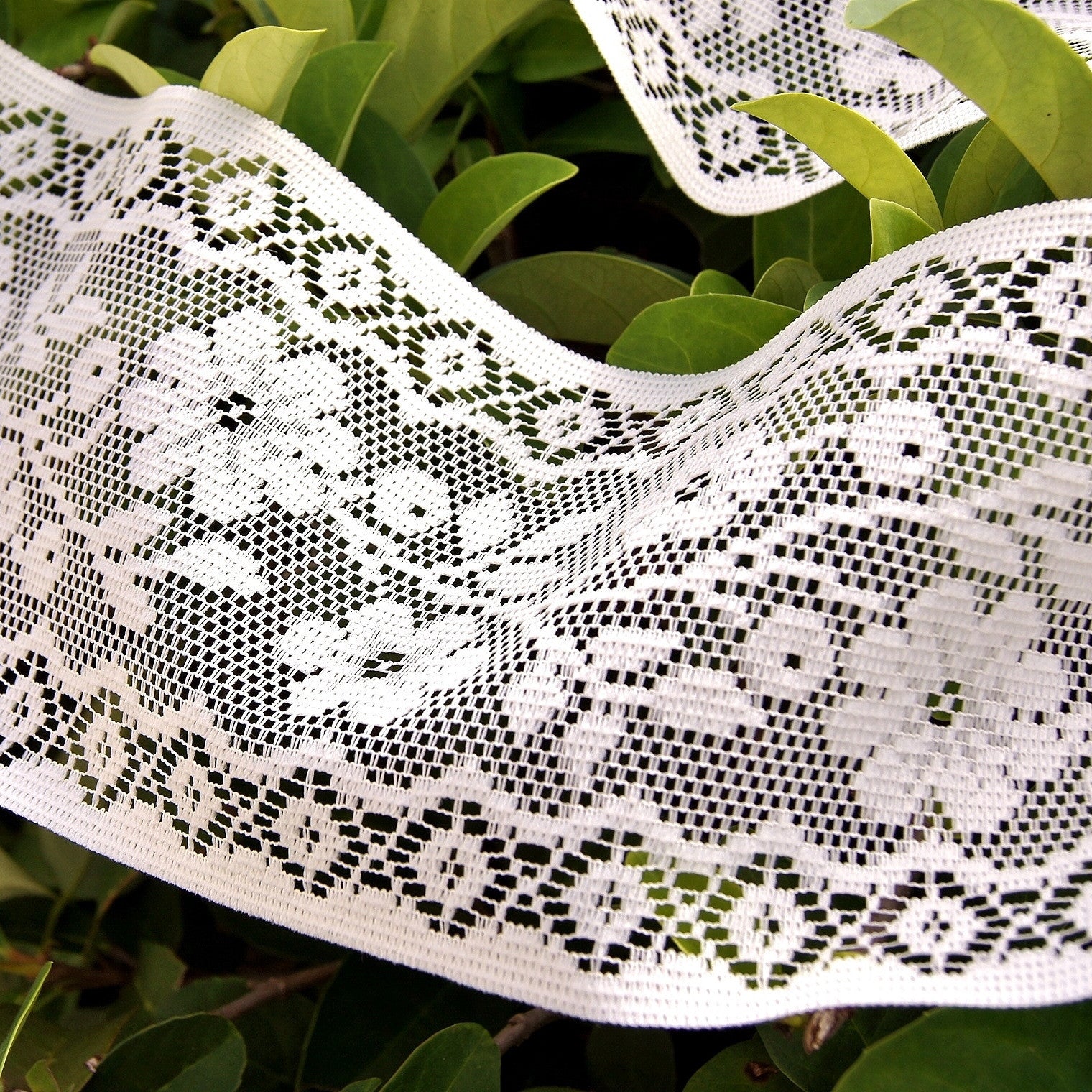 Buy Off White Natural Cotton Lace Trim, Lace-bordered Cotton