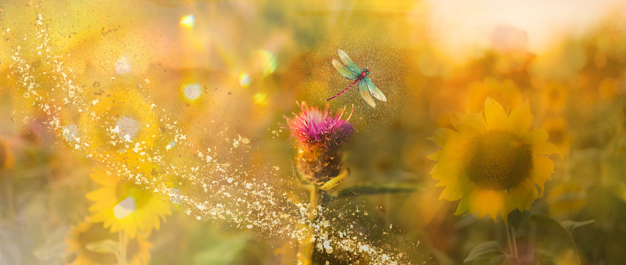Summer Divination, summer energy, witchcraft