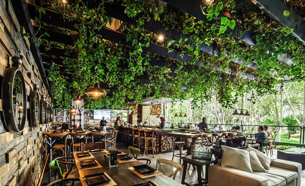 15 idées de Plafond fausse plante  fausse plante, plante, idée déco  restaurant