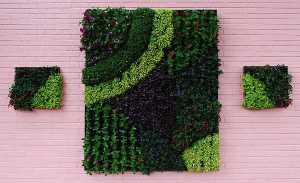 mur végétal fleuris