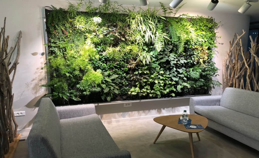 1O Faits sur les murs végétaux artificiels | | | Design-Vegetal