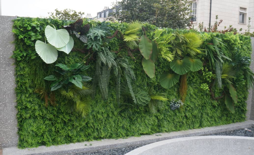 Murs végétaux naturels - Installation & entretien de murs végétaux naturels