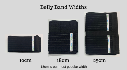 Belly Bands Brace Widts