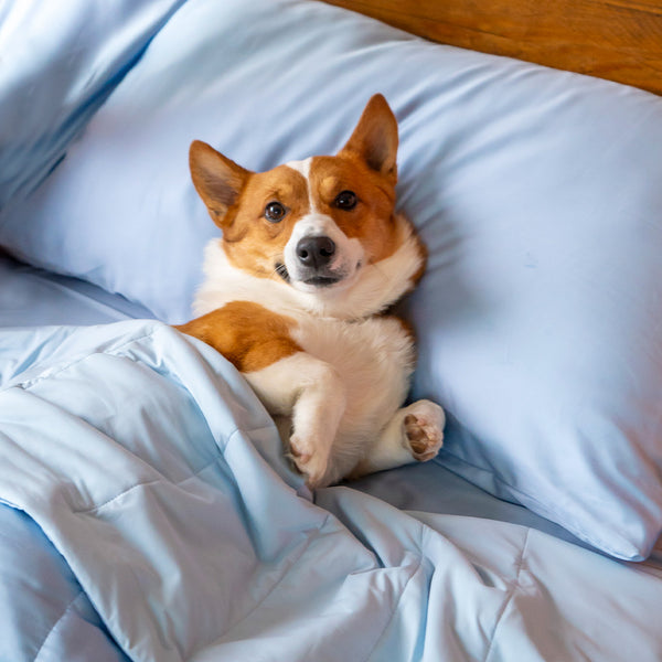 pet hair resistant comforter