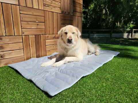dog lying on a cooling pet mat
