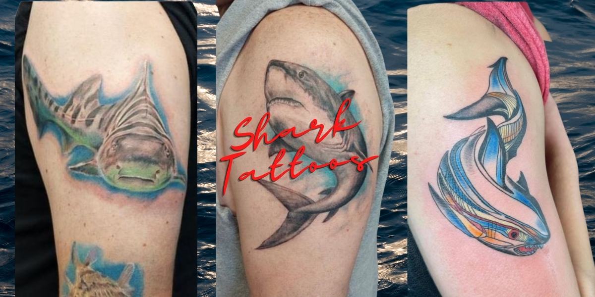 50 Greatest Shark Tattoos Symbolism  Design Inspiration