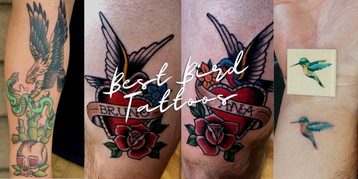 50 Unique Bird Tattoos For Men 2023 Cool Simple  Meaningful