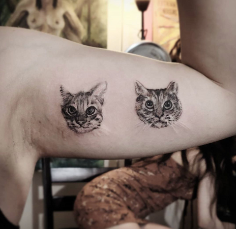 Killer Ink Tattoo on Twitter Amazing cat portrait by Angelique Grimm  with killerinktattoo supplies killerink tattoo tattoos bodyart ink  tattooartist tattooink tattooart blackandgrey blackandgreytattoo  cattattoo httpstcoxLpyFGfLLK 