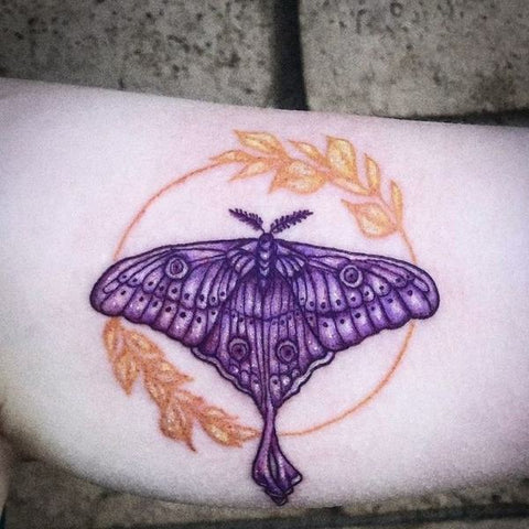 Color Moth Tattoo 10 Best Moth Tattoo Ideas 