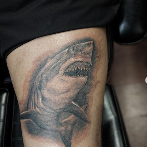 NeoTraditional Great White Shark by Nick Amble Whistler Street Tattoos  Sydney Australia  rtattoos