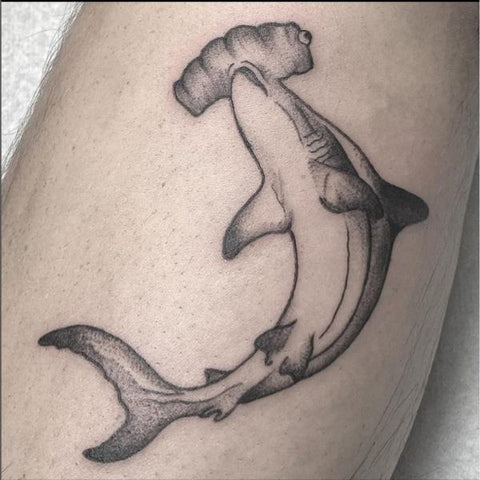 Hammerhead Shark Tattoo 10 Best Shark Tattoo Ideas