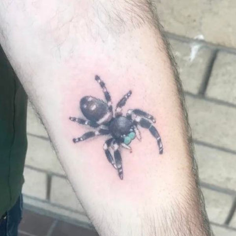 Mini jumping spider tattoo for  Kellz Morgan Tattoos  Facebook