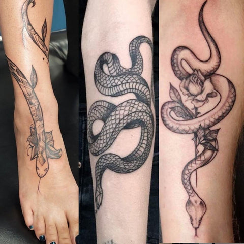 Line Work Blackwork Snake Tattoos Fine Line Best Snake Tattoo Ideas