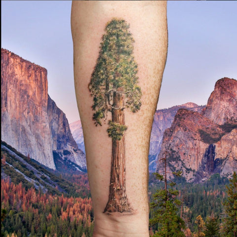 National Parks Tattoos Giant Sequoia Best Patriotic Tattoos Ideas