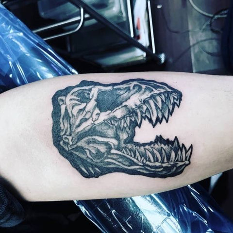Tattoo uploaded by Arielle Martin  Velociraptor skeleton tattoo  Tattoodo