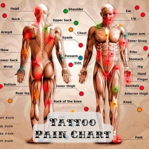 Tattoo Pain Chart and Guide