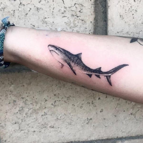 Tiger Shark Tattoo 10 Best Shark Tattoo Ideas