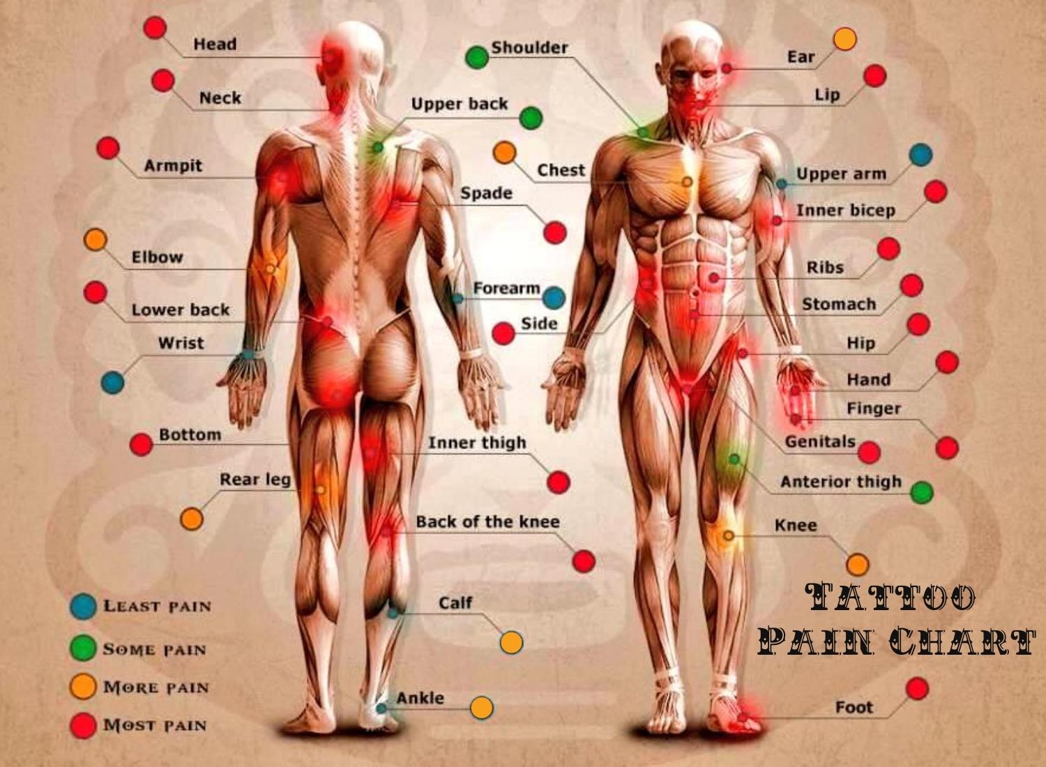 Tattoo Pain Chart For MaleFemale Unique Body Parts With Indicators
