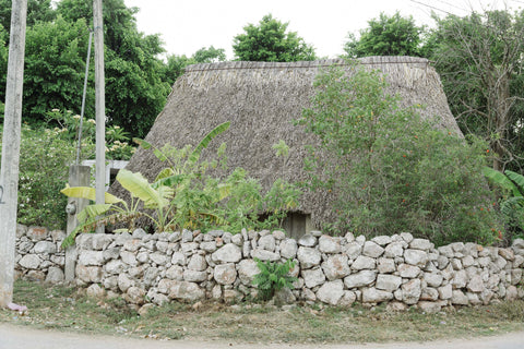 casita maya hecha de paja y piedras en pueblo yucateco