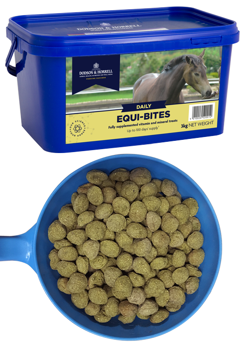 are horses used for dog food