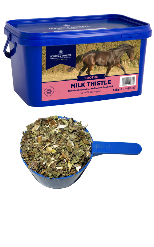 Dodson & Horrell Devils Claw for Horses, 2.5 kg : : Pet Supplies