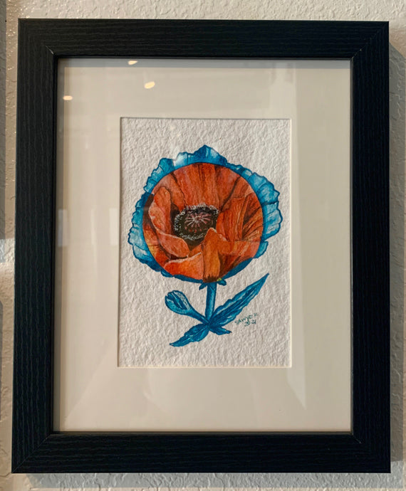 Poppy (blue and red)