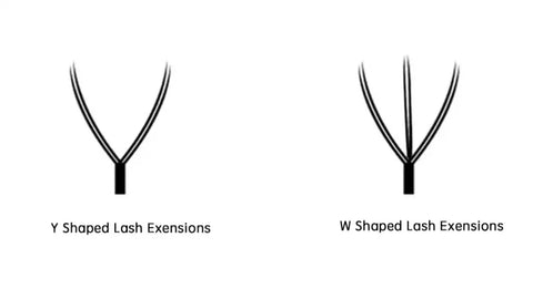 w shape vs y shape lashes
