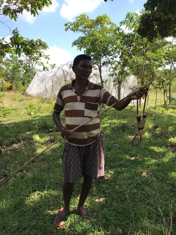 Ethical Kind - Farmer patrolling the silk farm to protect silk worms from prey