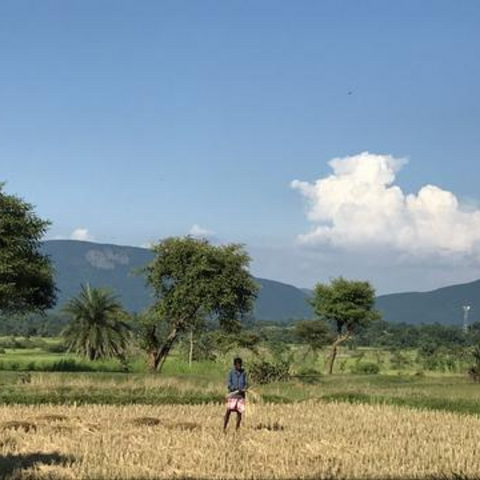 Regenerative Farming in India