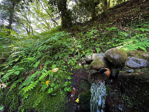 湧き水